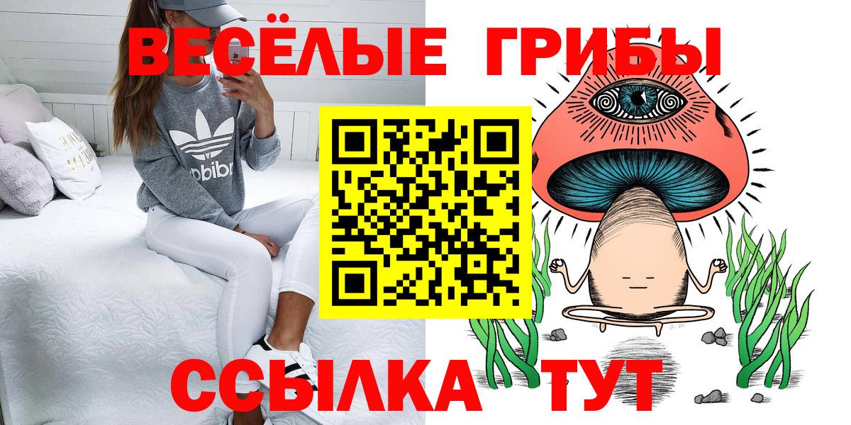 Псилоцибиновые грибы прущие грибы Ревда